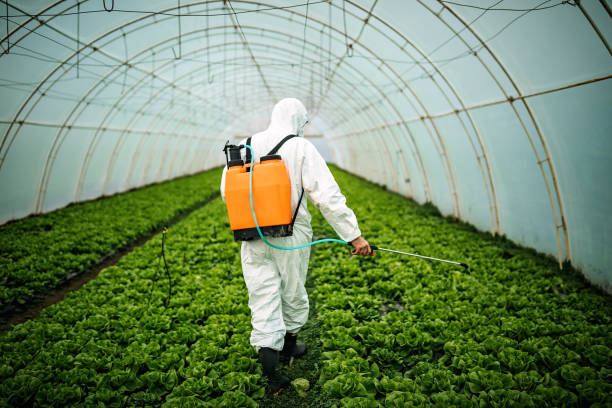 Best Pest Removal Services  in Wellington, TX