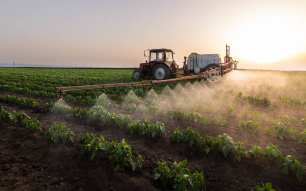 Best Pest Inspection Near Me  in Wellington, TX