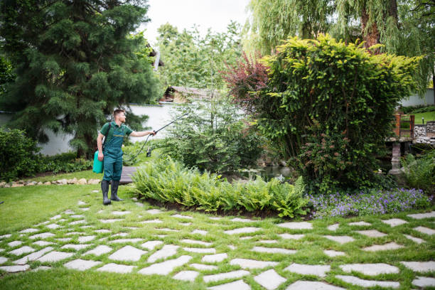 Best Pest Control Cost  in Wellington, TX