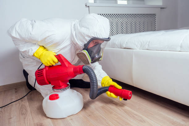 Best Local Pest Control Services  in Wellington, TX
