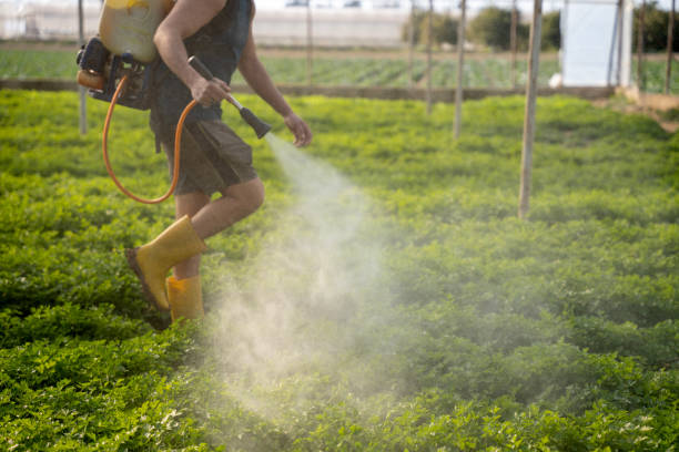 Professional Pest Control in Wellington, TX