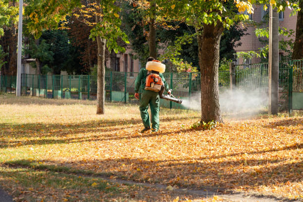 Best Residential Pest Control  in Wellington, TX
